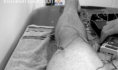 الشارقة يُسابق الزمن للحاق بيانتش بنهائي الكأس