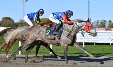 فرس غير مرشحة تظفر بكأس الوثبة للخيول