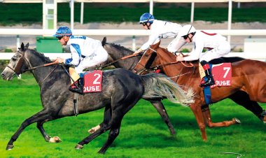 «مشرف» يحلّق بكأس زايد في مضمار تولوز