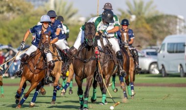 4 فرق تتنافس على كأس «الهالوين» للبولو
