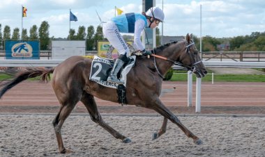 كأس الوثبة في ضيافة مضمار والوني البلجيكي اليوم