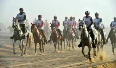 سعيد الشامسي بطل سباق كأس الوصل للقدرة