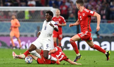 مباراة السنغال تحقق أقل نسبة مشاهدة في هولندا