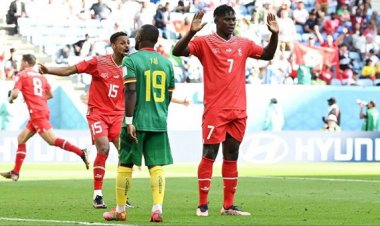 "الابن الضال" يطعن الكاميرون بخنجر مسموم