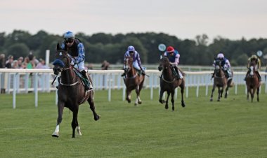 انطلاق كأس فاطمة بنت مبارك للخيول العربية الأصيلة غدا في بريطانيا