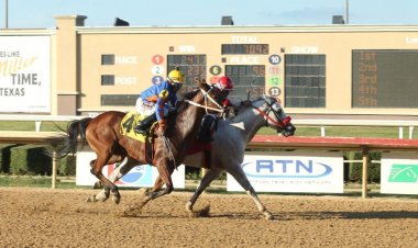 تتويج المهر"أبتاون" بطلاً لكأس "الوثبة" بأمريكا