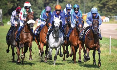 كأس رئيس الدولة للخيول العربية تختتم محطاتها الأوروبية في هولندا اليوم