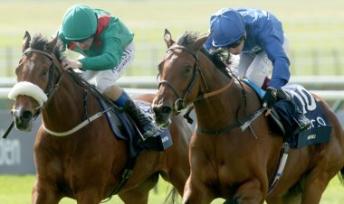 مشاركة "موج" من جودلفين في سباق كوين إليزابيث بمضمار كينلاند أكتوبر المقبل