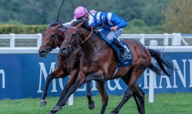 يخوض الجواد "حكم" لـ"شادويل" سباق "الآرك" الفرنسي العريق