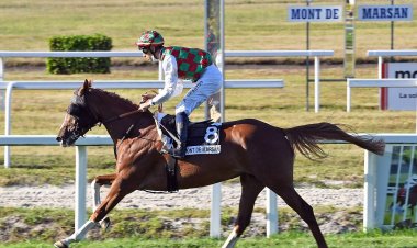 انطلاق كأس زايد للخيول العربية غداً في فرنسا