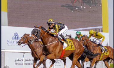 في الأمسية الرابعة لمضمار جبل علي … 84 خيلاً تتنافس يوم السبت المقبل