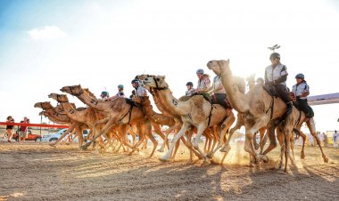 29 متسابقاً من 18 جنسية في السباق التمهيدي الثاني لماراثون رحلة الهجن للمشاركين غير المواطنين.