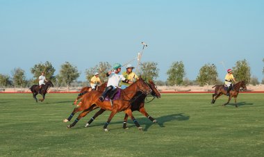 مباراتان غداً في نصف نهائي كأس "العام الجديد" للبولو