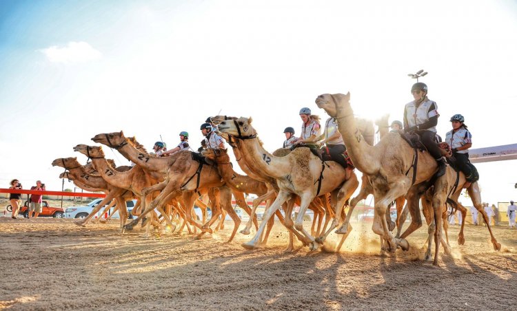 29 متسابقاً من 18 جنسية في السباق التمهيدي الثاني لماراثون رحلة الهجن للمشاركين غير المواطنين.