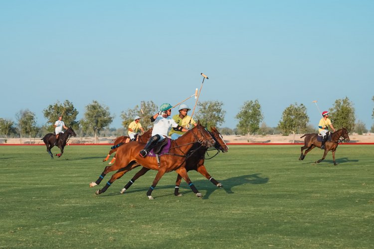 مباراتان غداً في نصف نهائي كأس "العام الجديد" للبولو